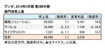 2019年3月期 第2四半期 部門別売上高（表2）