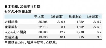 2018年11月期 セグメント別売上高（表2）