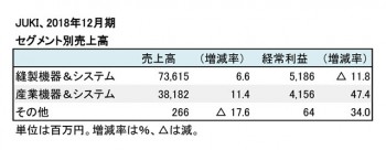 2018年12月期 セグメント別売上高（表2）