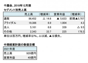 2018年12月期 セグメント別売上高（表2）
