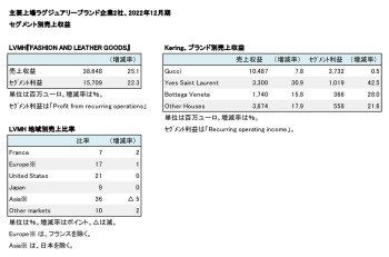 主要上場ラグジュアリーブランド企業2社、 2022年12月期 セグメント別売上収益（表2）