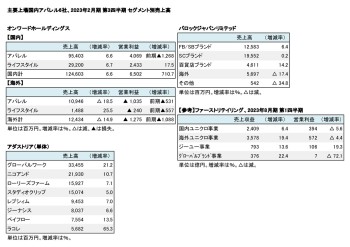 主要上場国内アパレル6社、2023年2月期 第3四半期 セグメント別売上高（表2）