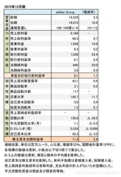 adidas Group、 2015年12月期 財務諸表