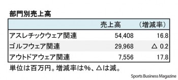 デサント、2013年3月期 部門別売上高（表3）