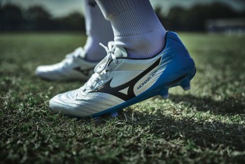 「モレリア」と共に1つの柱を形成する 「モナルシーダ」