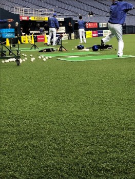 京セラドーム大阪に採用された 野球専用の人工芝 「MS Craft Baseball Turf」