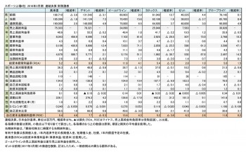 国内スポーツ上場6社、2018年3月期 財務諸表（表2）