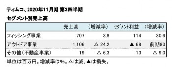 ティムコ、2020年11月期 第3四半期 セグメント別売上高（表2）
