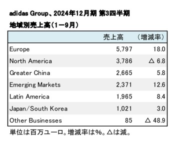 didas Group、2024年12月期 第3四半期 セグメント別売上高（表2）